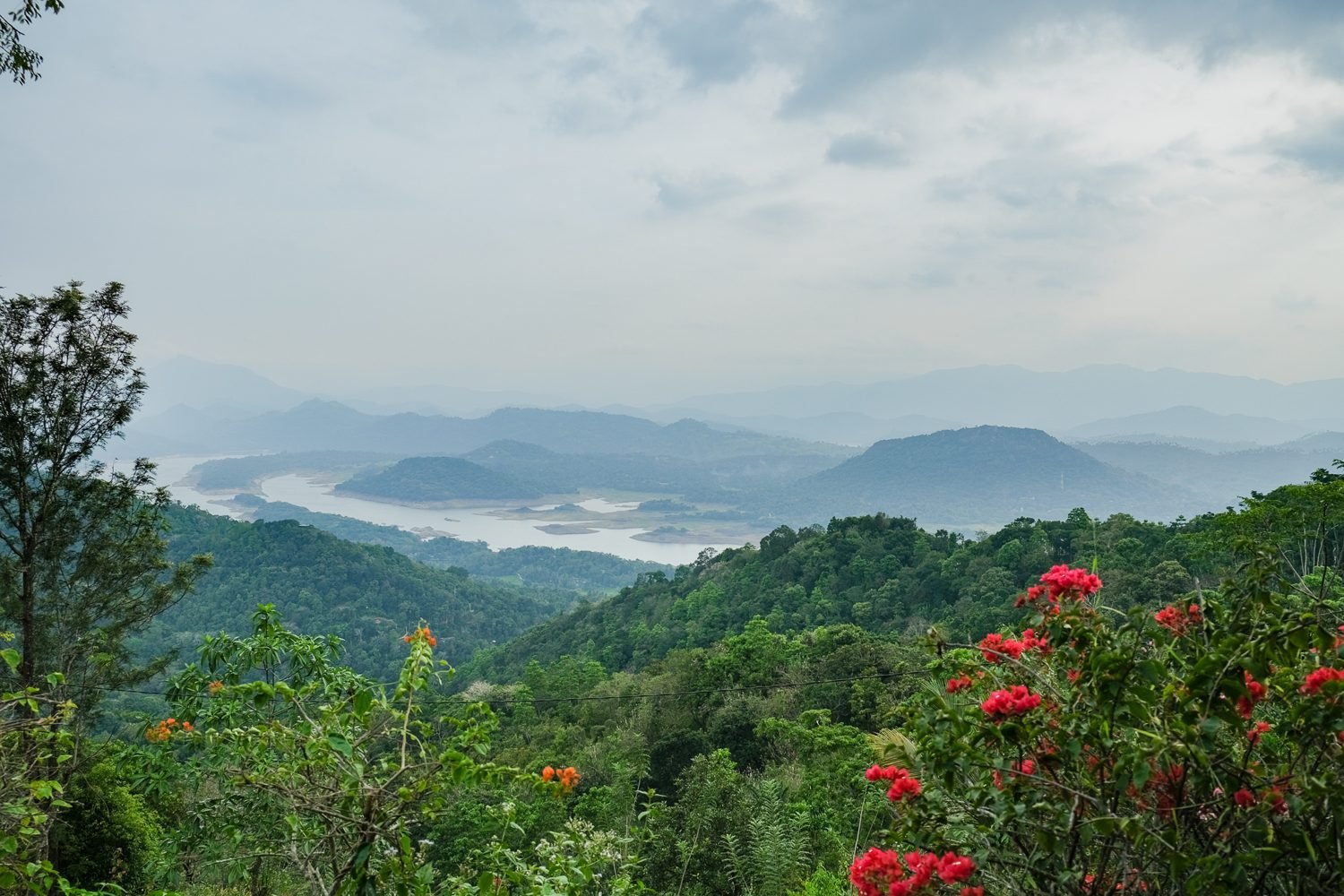Nebel über den grünen Bergen von Kandy